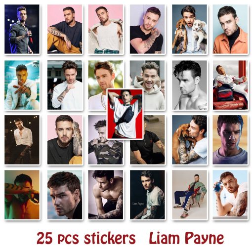 50pcs british singer harry style stickers 1926 - Harry Styles Store