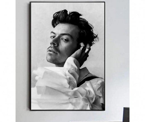 Untitled design 16 - Harry Styles Store