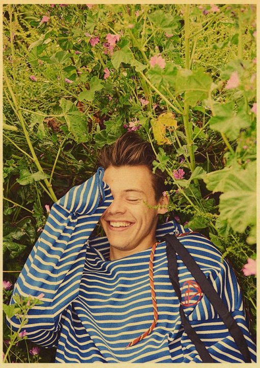 famous british singer harry styles poster 5676 - Harry Styles Store