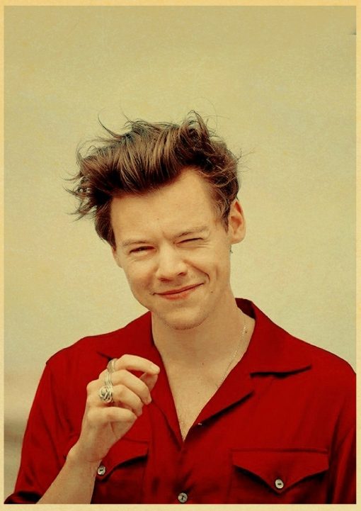 famous british singer harry styles poster 7902 - Harry Styles Store