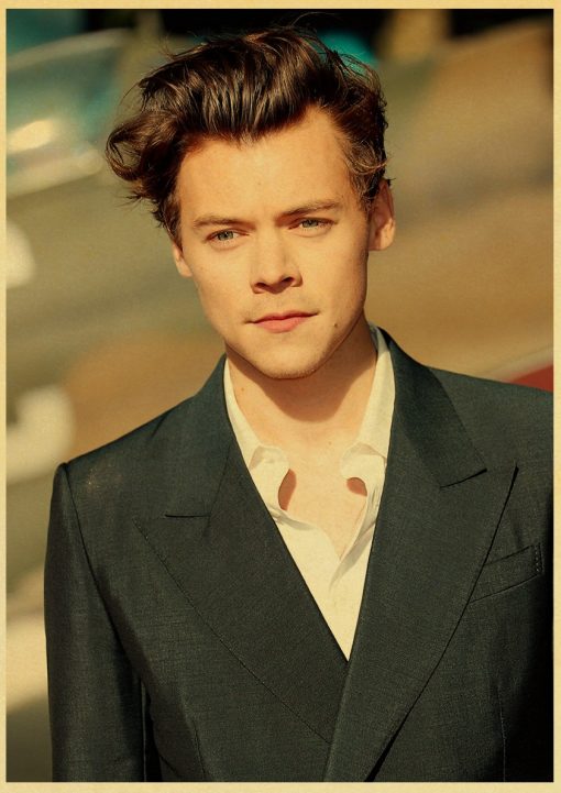 famous singer harry style retro poster 3940 - Harry Styles Store