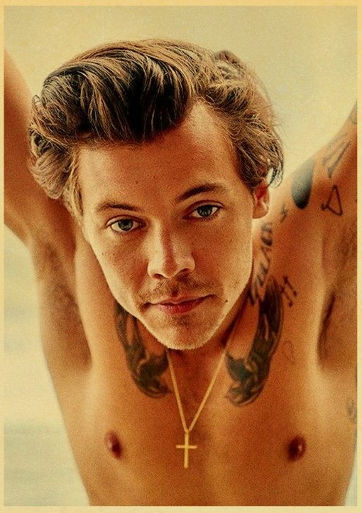 harry style wall poster 2752 - Harry Styles Store