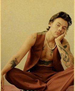 harry style wall poster 6222 - Harry Styles Store