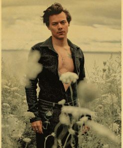 singer harry style poster wall art 4409 - Harry Styles Store