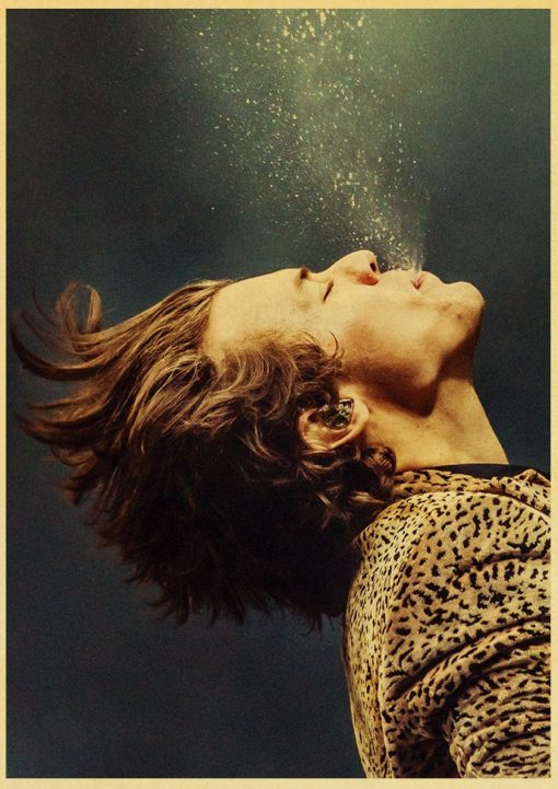 singer harry style poster wall art 6098 - Harry Styles Store