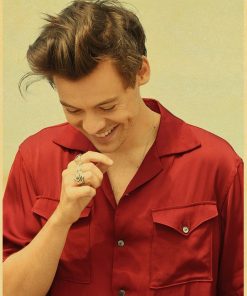 vintage harry retro poster 5692 - Harry Styles Store
